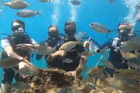 Explore Antalya's Underwater Wonders Scuba Diving Tour