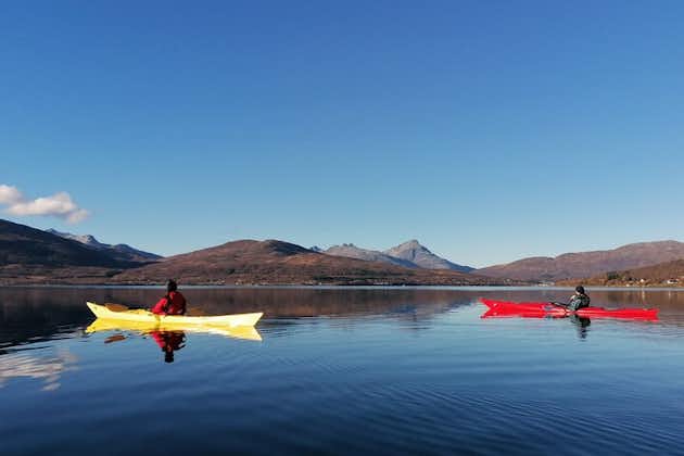 - Tour fácil en kayak en grupos pequeños en Tromso con observación de focas