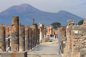 Full-Day Tour Vesuvius Herculaneum