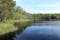 Lejas ezers, Daugmales pagasts, Ķekavas novads, Vidzeme, Latvia