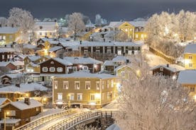 VIP Helsinki and Medieval Porvoo PRIVATE Tour 