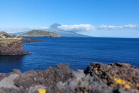 Passeio de Dia Inteiro pela Ilha do Faial