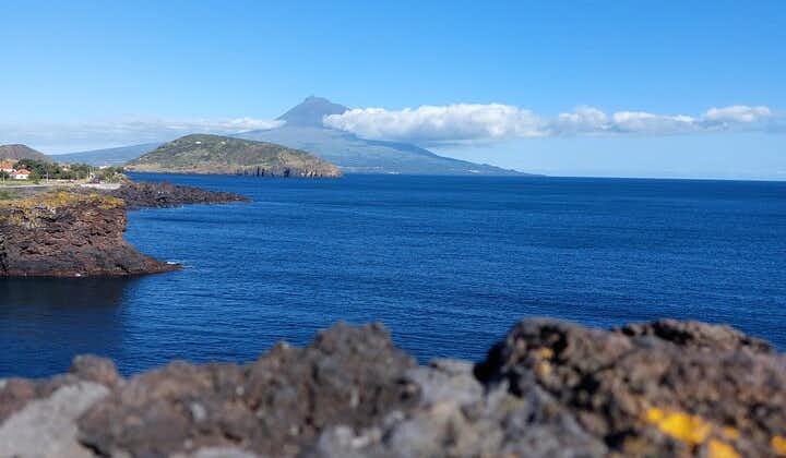 Full Day Tour of Faial Island