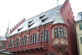 Freiburg im Breisgau Wandeltocht met een professionele gids