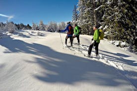 Snowshoes in the Pyrenees from Barcelona - Private Tour