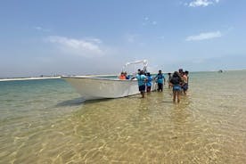 Gita in barca di mezza giornata alle isole Ria Formosa