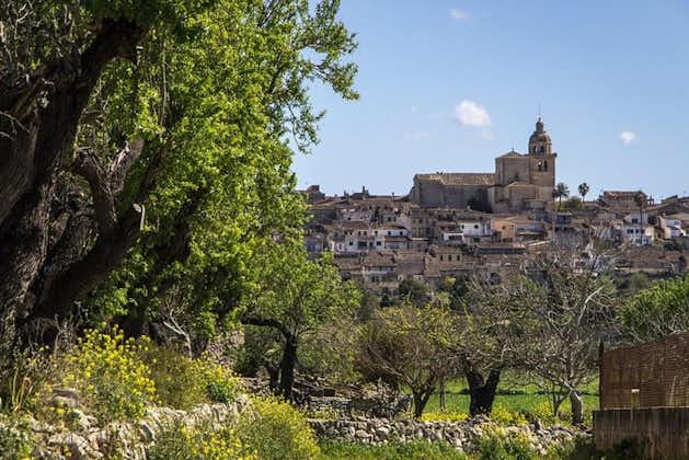 Mallorca: windmolens, legendes en charmante dorpjes