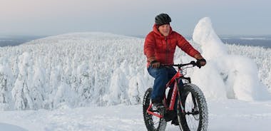 Amethyst Mine Tour med Electric Fatbike