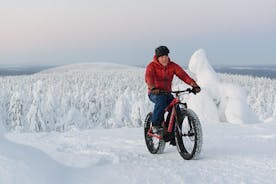 Amethyst Mine Tour med Electric Fatbike