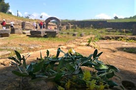 Katakolon Shore Excursion: Ancient Olympia Plus Honey Farm e degustazione di olio d'oliva