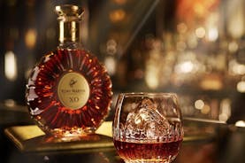 Privat dagstur till Cognac från Bordeaux (Van Luxe)