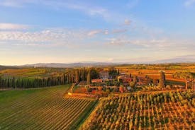 Arezzo: Expérience de dégustation de vin dans la région de Valdichiana