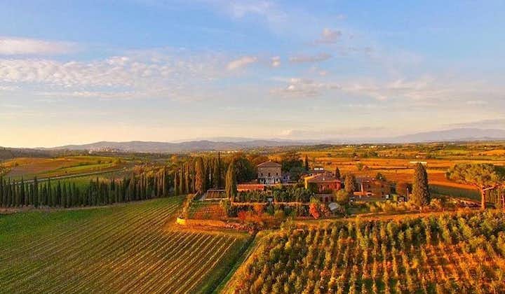 Arezzo: Wine Tasting Experience in Valdichiana area