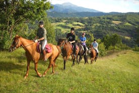 Tour privado a caballo en el campo siciliano + almuerzo tradicional