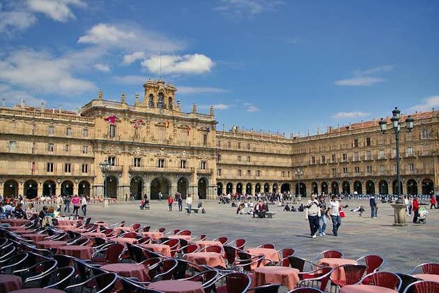 Tour privato di un'intera giornata a Salamanca da Madrid con prelievo e rientro in hotel