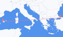 Vols de Palma pour Istanbul