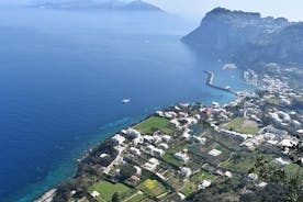 Private Capri-, Anacapri- und Blaue-Grotte-Tour