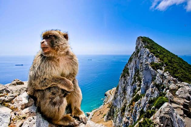 Excursión privada de un día a Gibraltar y Bolonia desde Cádiz
