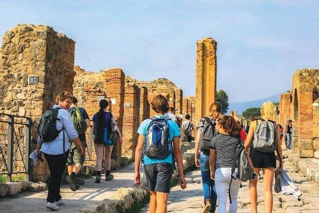 Pompeii Experience from Sorrento – Skip the Line