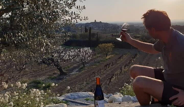 Wine tasting in Sablet
