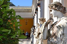 Kustexcursie: aangepaste privérondleiding van een halve dag door Corfu