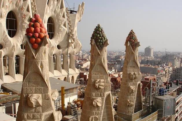 圣家堂（Sagrada Familia）和巴塞罗那（Barcelona）亮点：私人导游4小时车程