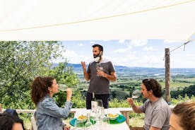 Lazio Winery tour, wine and food tasting 