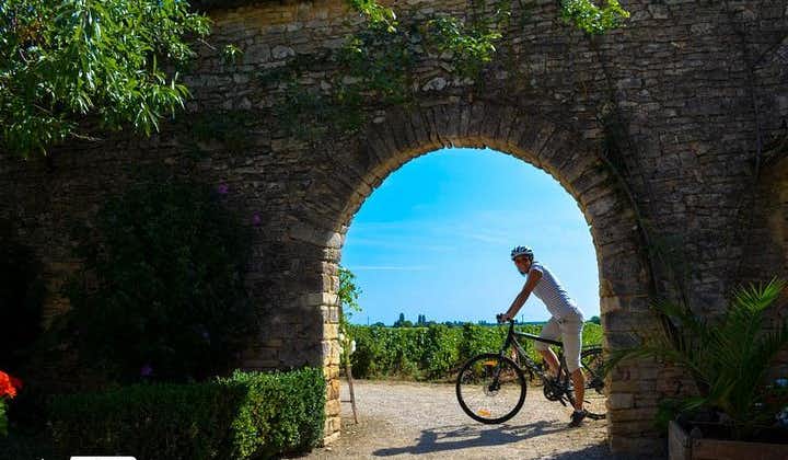 Guided week Bike Tour in France, Burgundy wine region