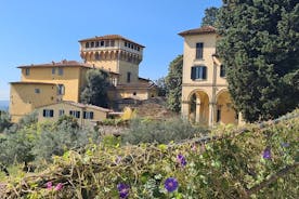 Ausritt, Olivenöl und Verkostung lokaler Speisen auf einem toskanischen Bauernhof