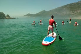 Stand Up Paddle-lessen