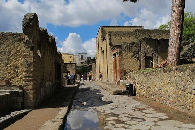 Two-hour guided tour of Herculaneum with an Archaeologist