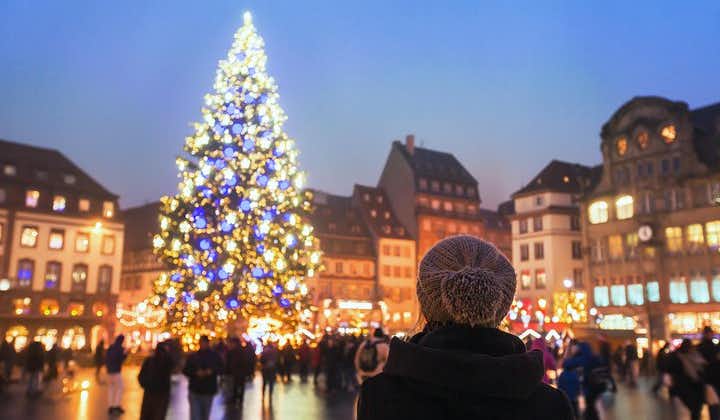 Strasbourg & Christmas Market Private Familial Guided Tour