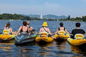 Tour guiado en kayak por Viena para grupos pequeños