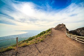 Wine Tasting and excursion to the Mt. Vesuvius from Pompeii