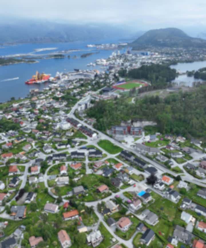 Flights from the city of Narvik to the city of Florø