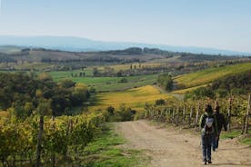 Visita privada: Caminata guiada en la Toscana con traslado desde Siena