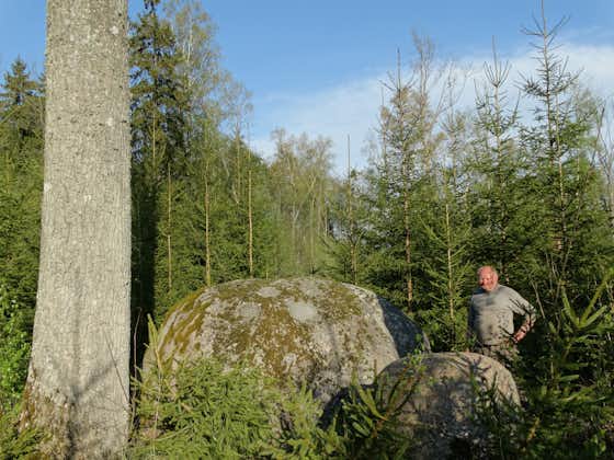 Devil's stone or Velnio akmuo - a heritage object in Druskininkai, Švendubrė