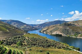 Visite privée à travers la vallée du Douro (caves + bateau)