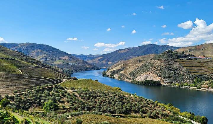 Douro Valley Private Wine Tour with 3 Wineries
