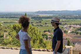 Tour pomeridiano del vino a Chateauneuf du Pape da Avignone