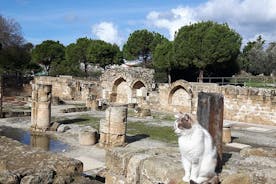 Oude stad van PAPHOS