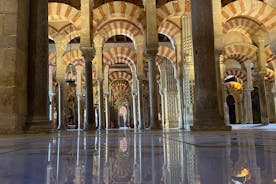 Privat besök moské-katedralen, judiska kvarteren, Alcazar och synagogan