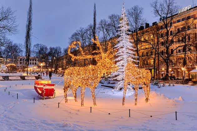 Photo of Esplanadi park after the snowfall. The park decorated for the Christmas.