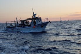 Privat fisketur - solnedgång (transport ingår)
