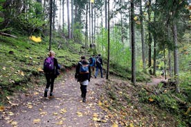 Aventure de randonnée dans le parc national de Gauja - 7 jours