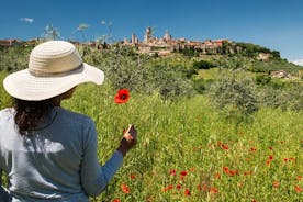 Pisa, Siena and San Gimignano Day Trip with Lunch & Wine Pairing
