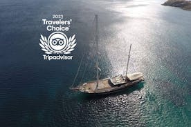 Mykonos: Superior Cruise naar Rhenia Island en Delos Guided Tour (gratis transfers)