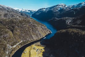 Mostraumen Fjordcruise