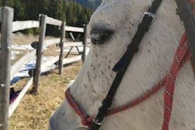 Paardrijden in de Rozenvallei in Thracische geest