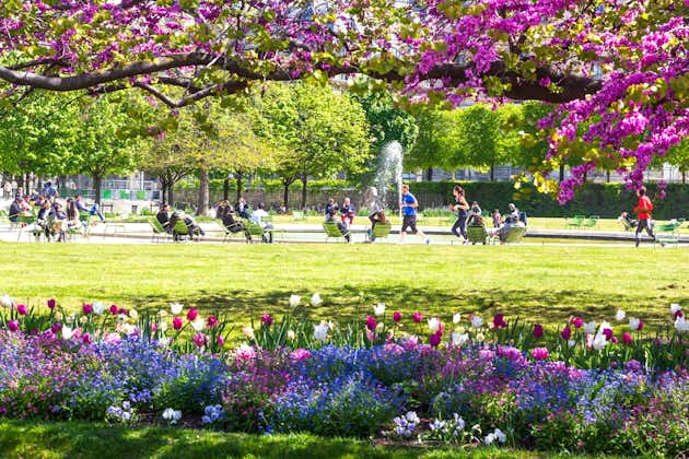 Photo of beautiful flowery scenery in the one of the most chic Parisian public parks Tuileries garden, France.